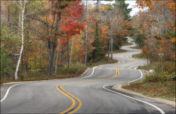 Картинка природа дороги осень шоссе лес