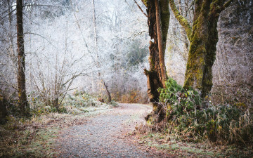 Картинка природа другое шоссе