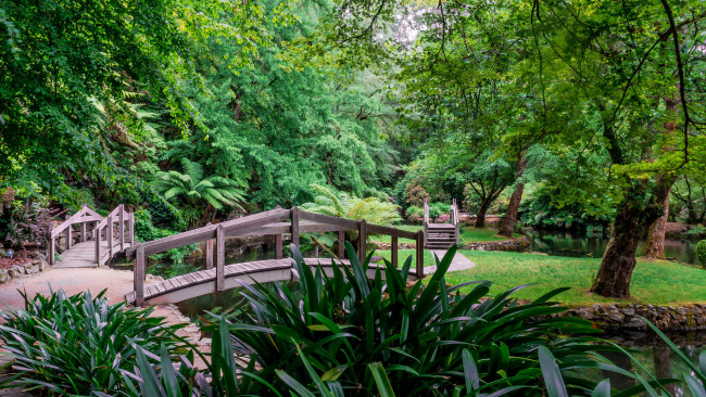 Обои картинки фото природа, парк, натура