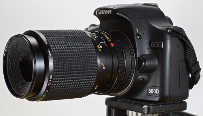 Обои картинки фото бренды, canon, фотокамера