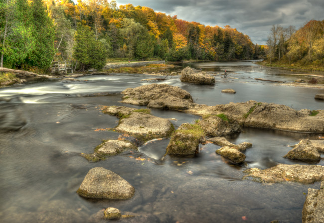 Обои картинки фото природа, реки, озера, река, лес