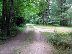 Картинка природа дороги деревенская