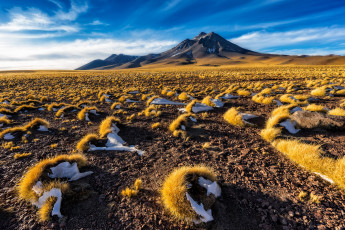 Картинка природа пустыни простор