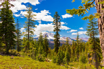 Картинка природа пейзажи простор