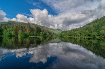 Картинка природа реки озера река лес