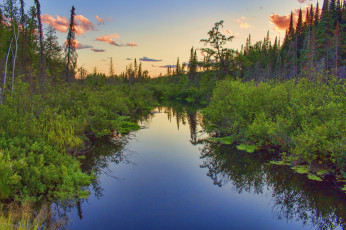 Картинка природа реки озера река лес