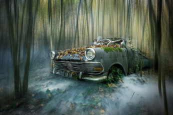 Картинка разное компьютерный+дизайн машна скелет лес