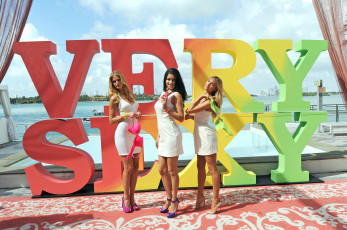 Картинка разное знаменитости модели девушки эрин хизертон адриана лима платья босоножки бюстгальтеры белье ковер буквы река