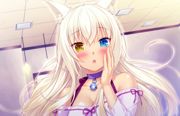 Картинка аниме nekopara фон взгляд девушка
