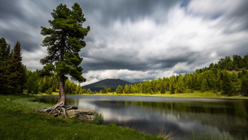 Картинка природа реки озера река лес