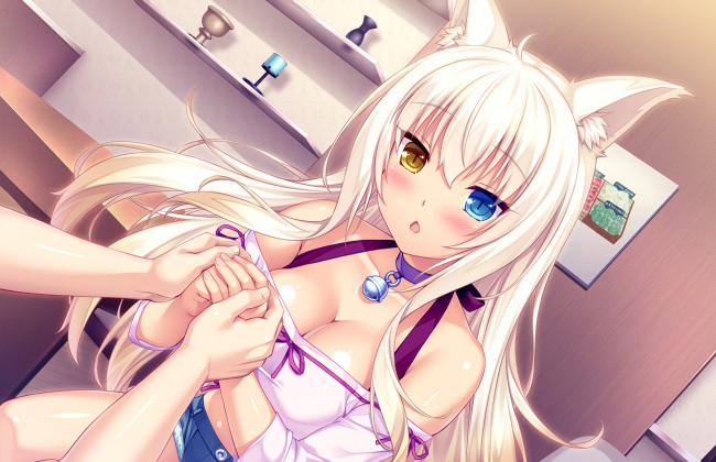 Обои картинки фото аниме, nekopara, фон, взгляд, девушка