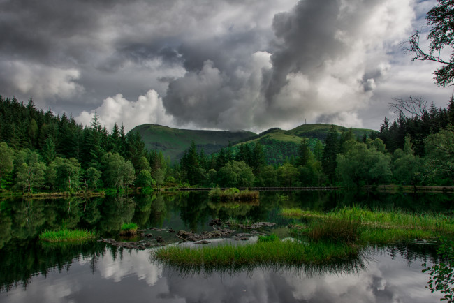 Обои картинки фото природа, реки, озера, река, лес