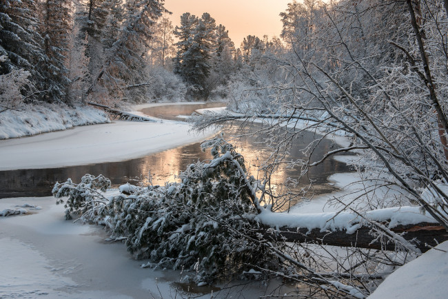 Обои картинки фото природа, зима, снег