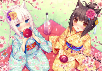 Картинка аниме nekopara фон девушка взгляд