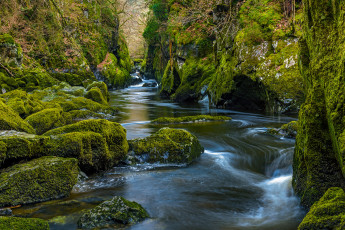 Картинка природа реки озера простор