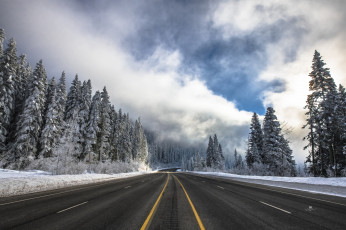 Картинка природа дороги простор