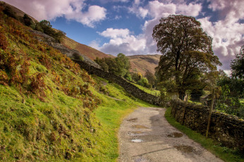 Картинка природа дороги простор