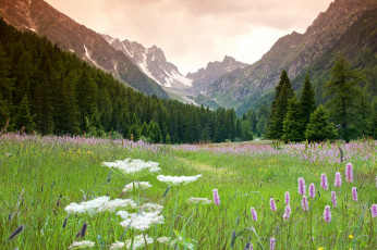 Картинка природа горы простор