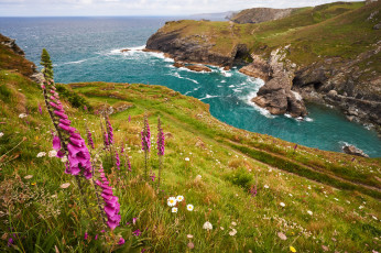 Картинка природа побережье простор