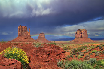 Картинка природа пустыни простор