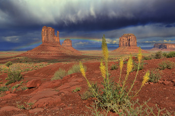 Картинка природа пустыни простор