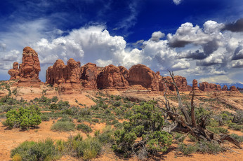 Картинка природа пустыни простор