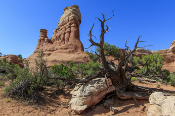 Картинка природа пустыни простор