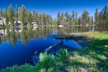 Картинка природа реки озера простор