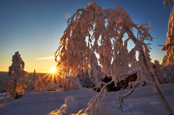 Картинка природа зима простор