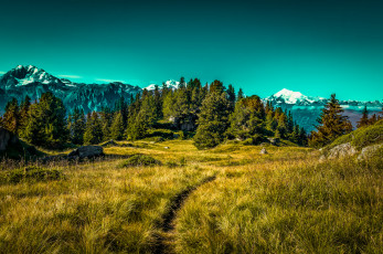 Картинка природа пейзажи простор