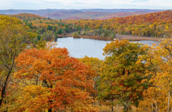 Картинка природа реки озера простор