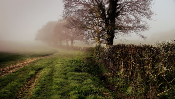 Картинка природа дороги простор