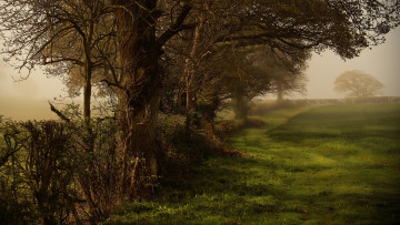 Картинка природа пейзажи простор