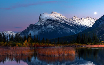 Картинка природа пейзажи горы озеро лес камыш