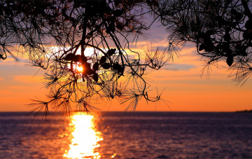 Картинка природа восходы закаты простор