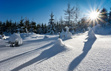 Картинка природа зима простор