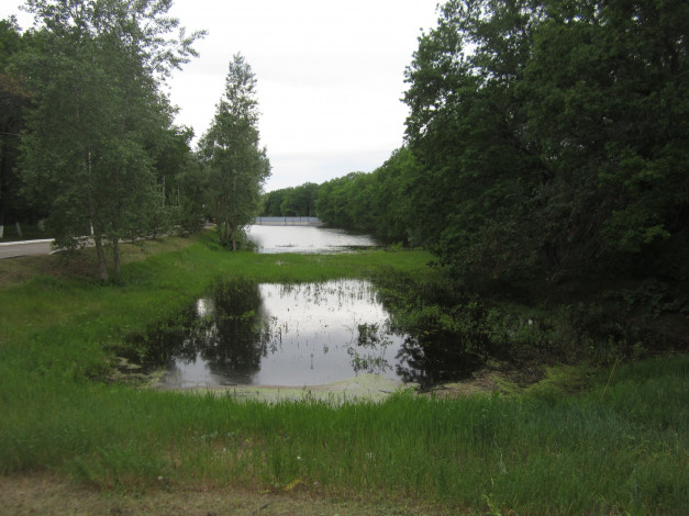 Обои картинки фото природа, реки, озера, водоем, лес