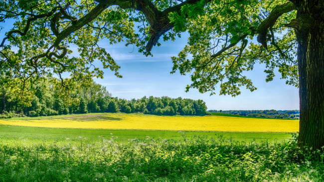 Обои картинки фото природа, пейзажи, простор