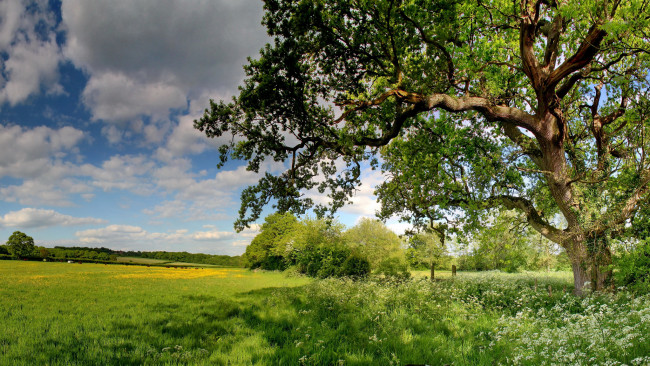 Обои картинки фото природа, пейзажи, простор