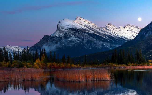 Обои картинки фото природа, пейзажи, горы, озеро, лес, камыш