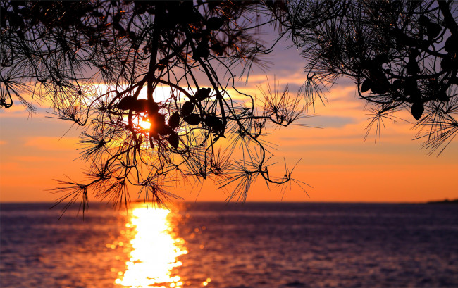 Обои картинки фото природа, восходы, закаты, простор