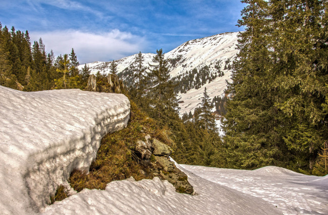 Обои картинки фото природа, зима, простор