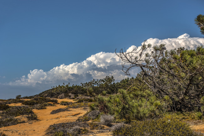 Обои картинки фото природа, пейзажи, простор