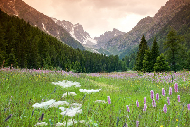 Обои картинки фото природа, горы, простор