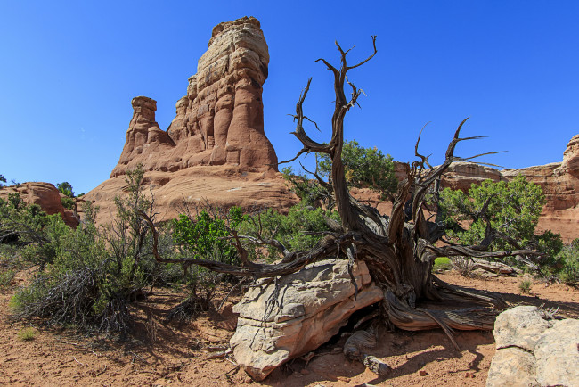 Обои картинки фото природа, пустыни, простор