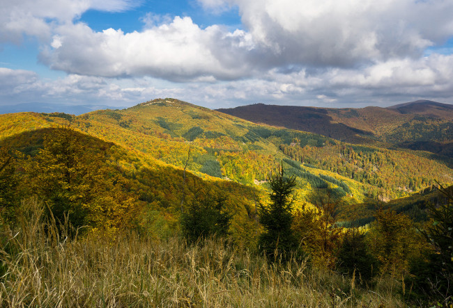 Обои картинки фото природа, пейзажи, простор