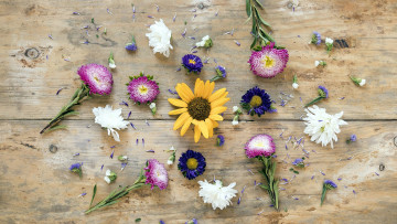 Картинка цветы разные+вместе лепестки