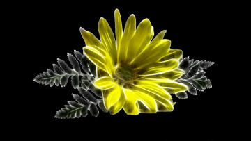 Картинка разное компьютерный+дизайн лепестки цветок фон