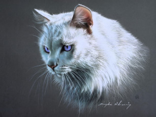 Картинка рисованное животные +коты кот голова