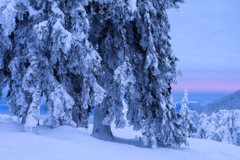 обоя природа, зима, деревья, горы, снег